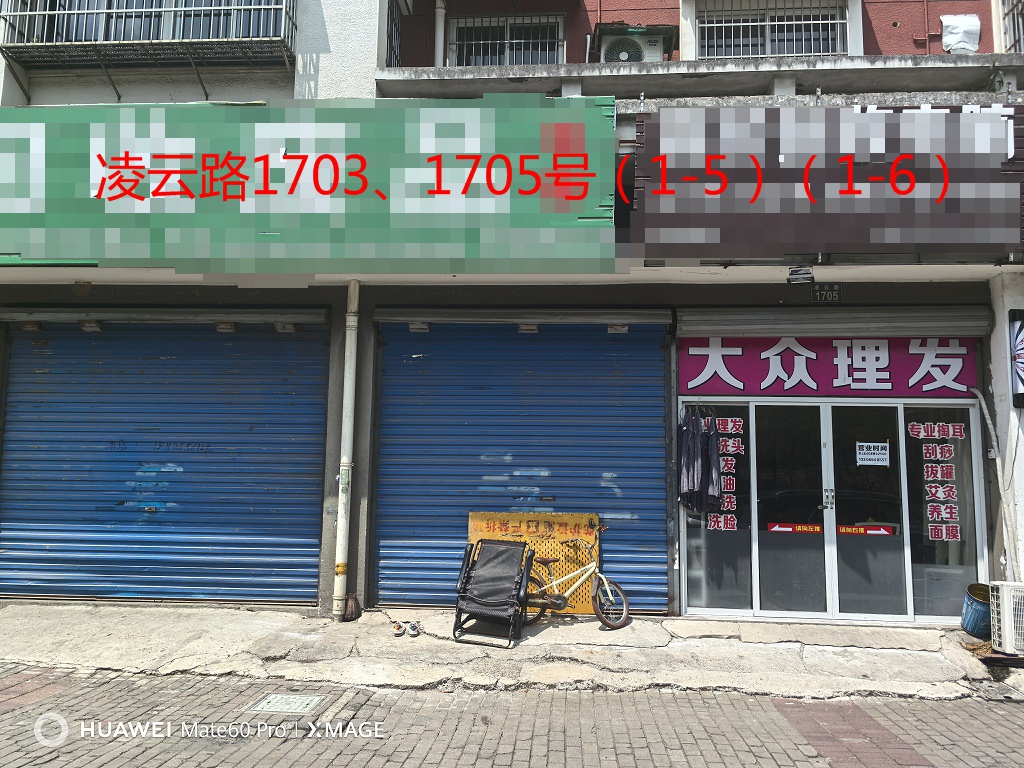 序号045：凌云路1703,1705号     (1-5)(1-6)