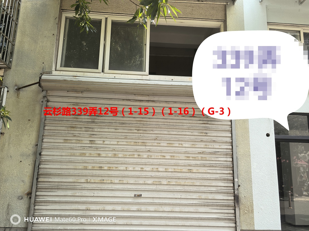 序号093：云杉路339弄12号(1-15)(1-16)（G-3）