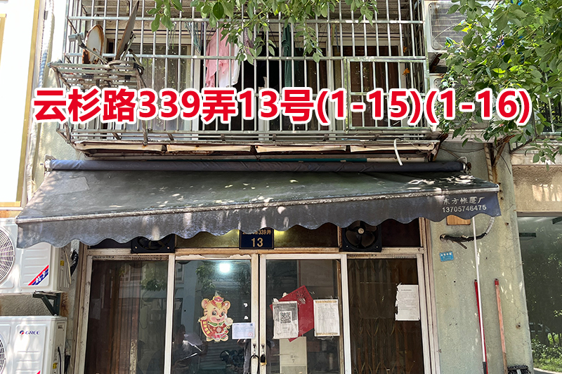 序号094：云杉路339弄13号(1-15)(1-16)