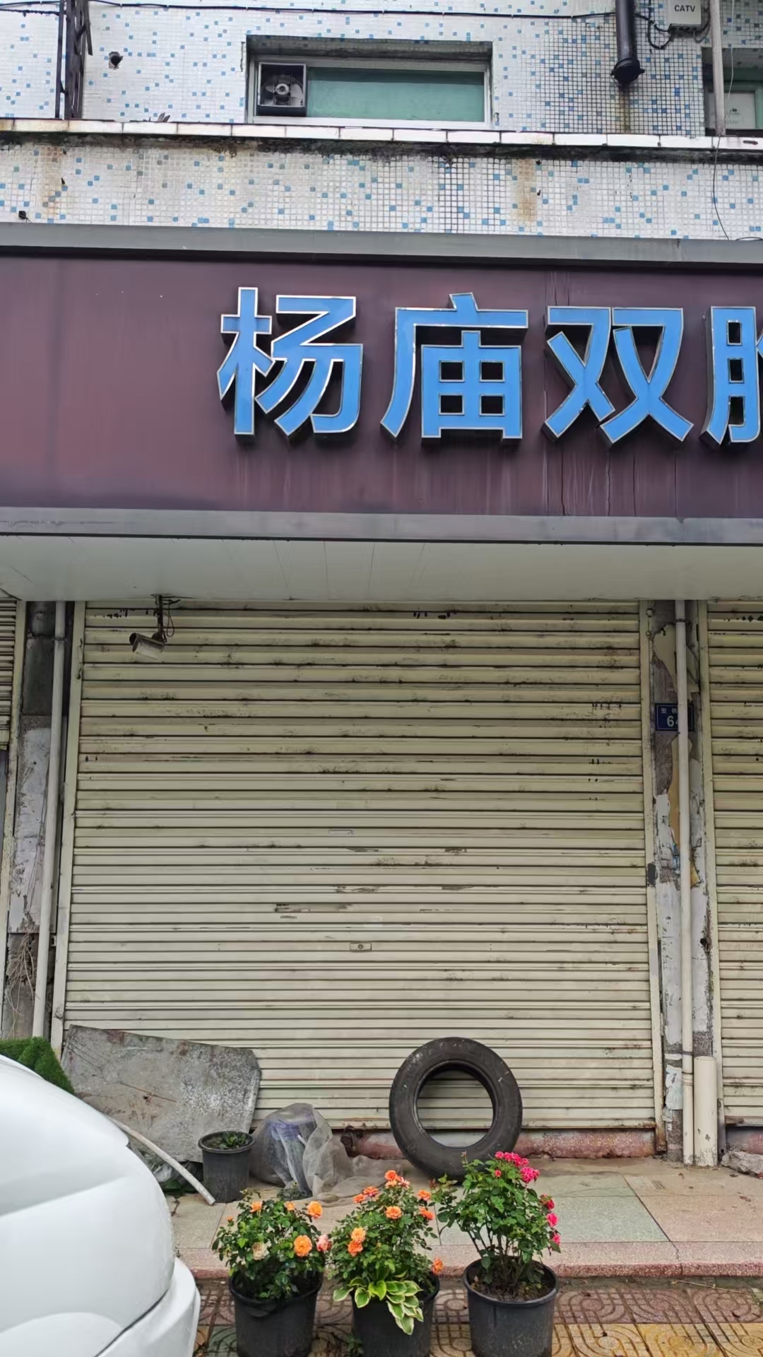 序号12：杨庙宏杨路64号东4