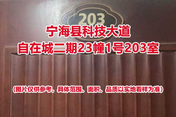 序号02：宁海县科技大道自在城二期23幢1号203室