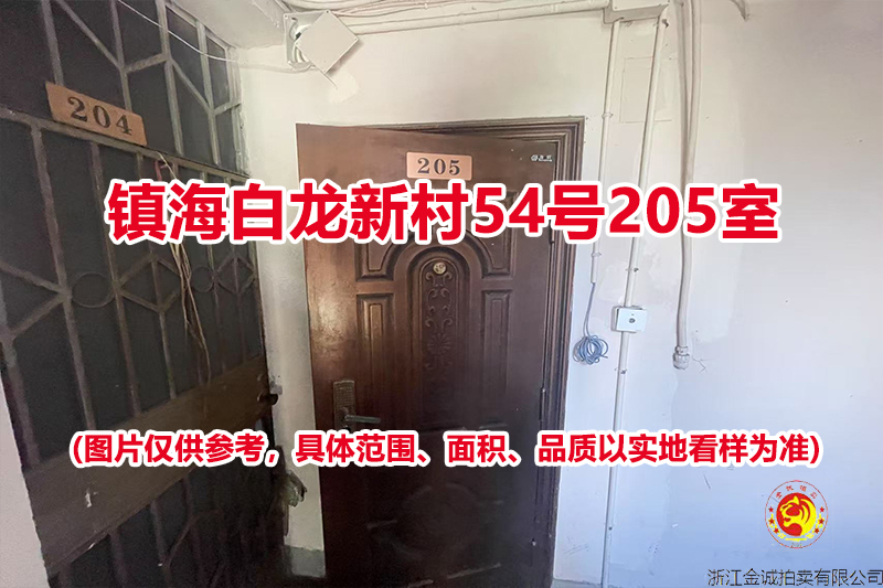 序号03：镇海白龙新村54号205室