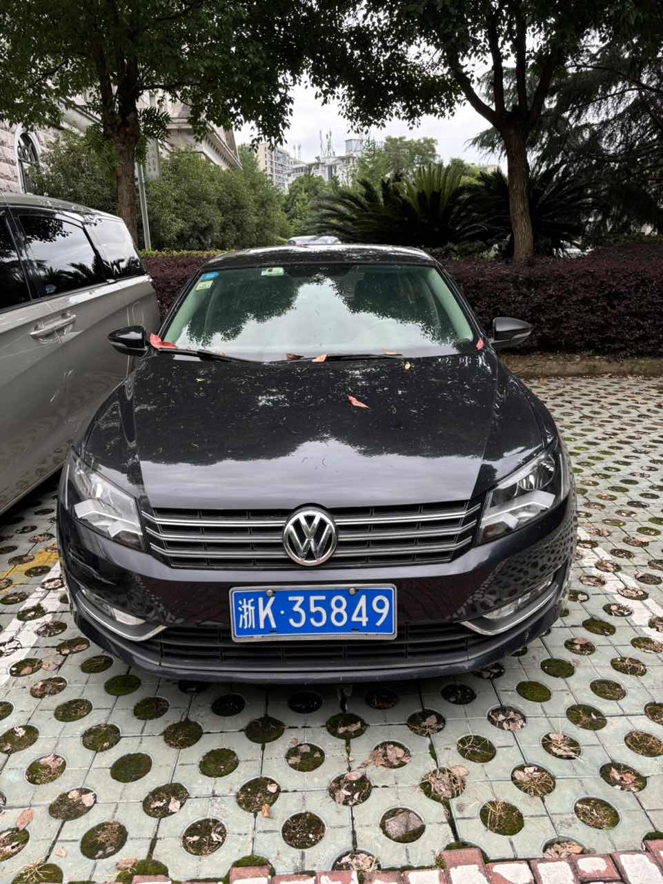 序号01:浙K35849大众帕萨特2.4小型轿车