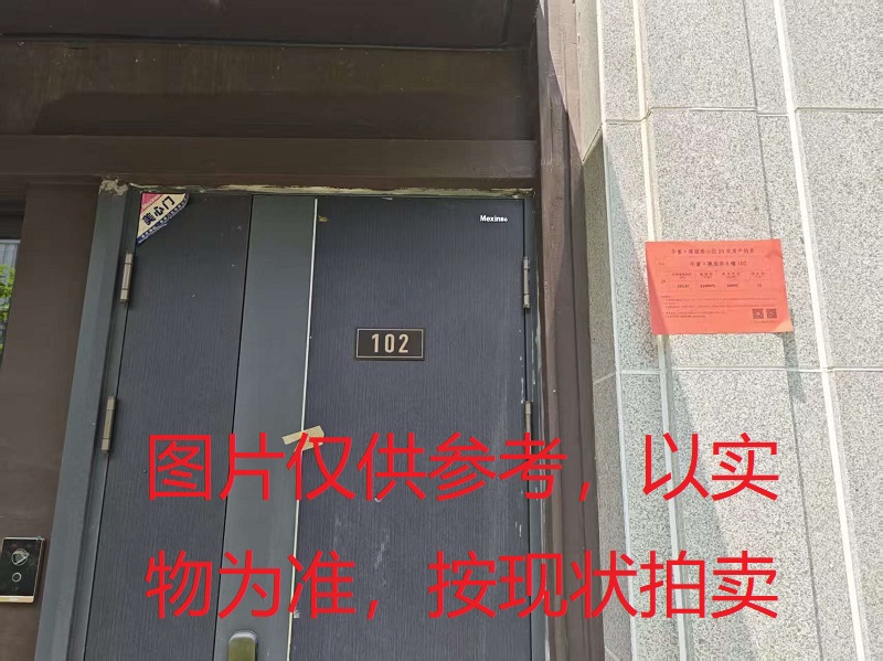序号17：璞丽府小区，排屋6-102，256.09（含地下储藏室面积59.72）㎡
