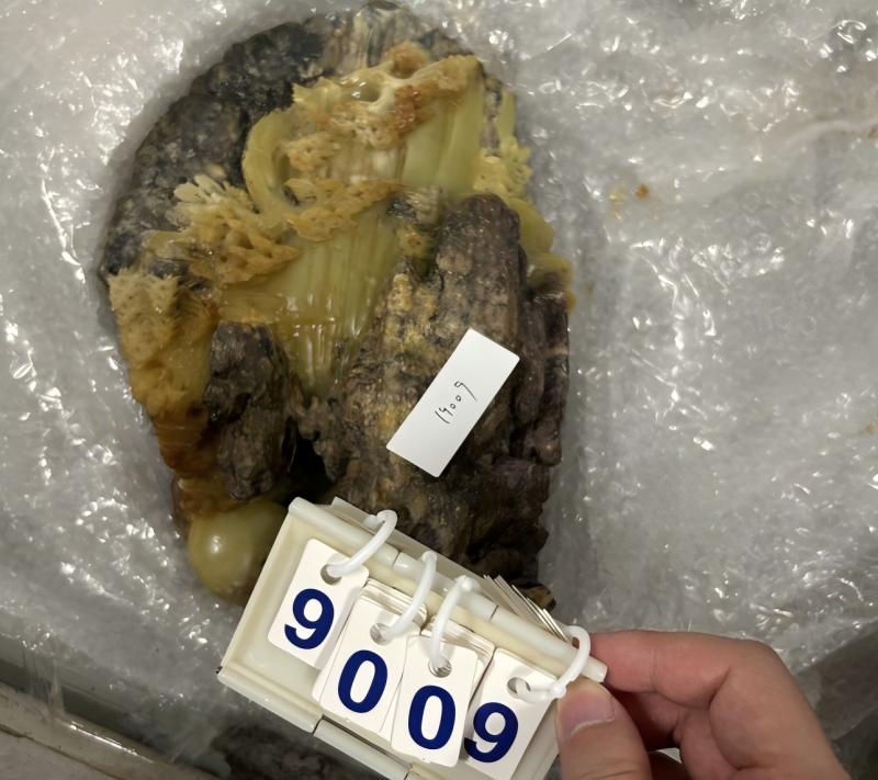 序号32,石头摆件4,评估价20000元