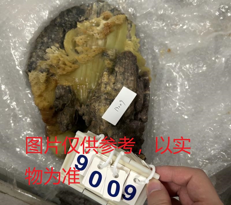 序号32，石头摆件4，评估价20000元