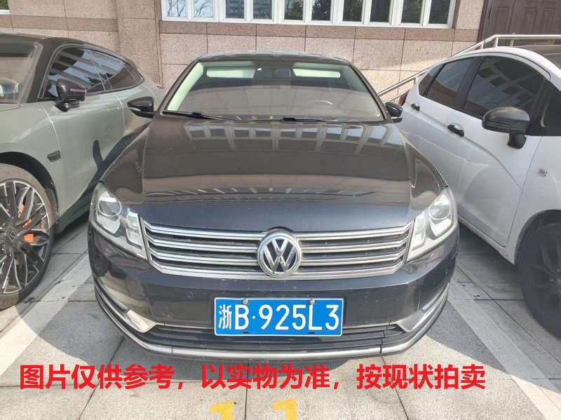 浙B925L3,大众牌