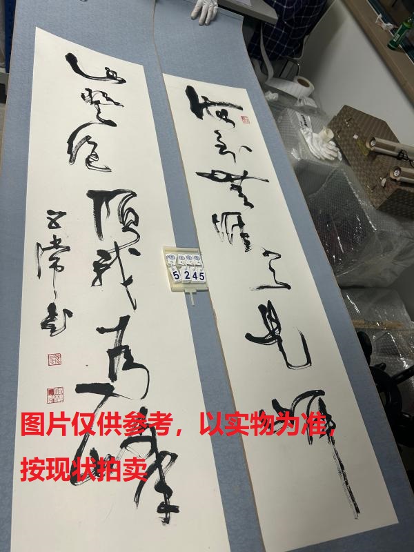 序号207，编号15245，
作者：张五常
作品：海到，山登