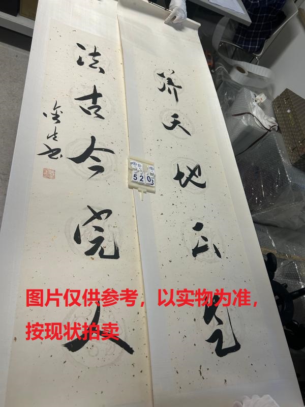 序号224，编号15208，
作者：顾金生
作品：养天，法古