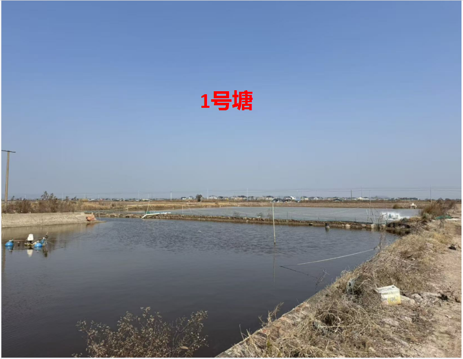 宁海县长街镇朝西洋港5口养殖塘 三年承包权