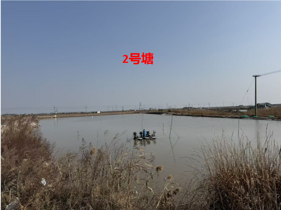 宁海县长街镇朝西洋港5口养殖塘 三年承包权