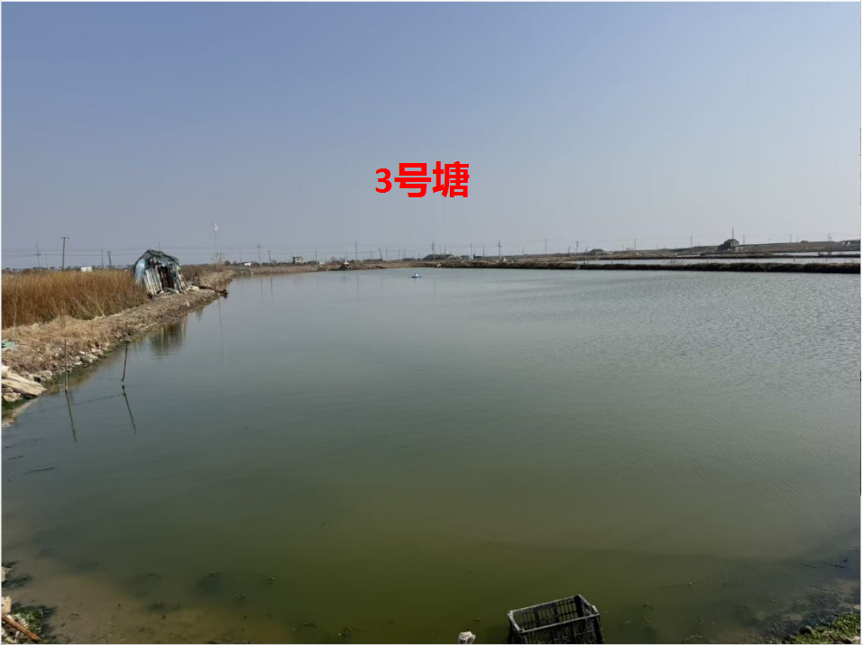 宁海县长街镇朝西洋港5口养殖塘 三年承包权