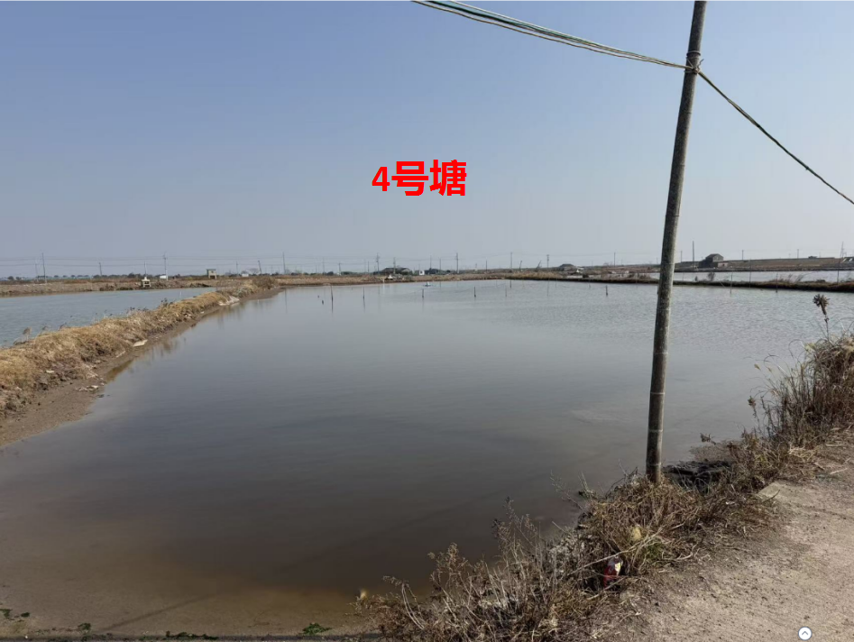 宁海县长街镇朝西洋港5口养殖塘 三年承包权