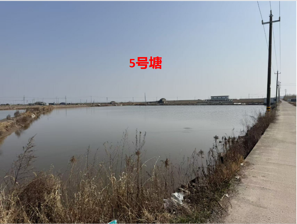 宁海县长街镇朝西洋港5口养殖塘 三年承包权